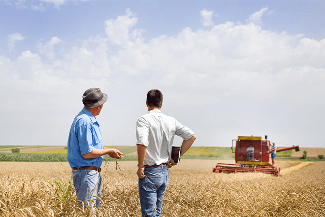 Agriculture and Family Farm Succession Planning | Wipfli